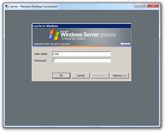 Remote Desktop - Windows Terminal Server